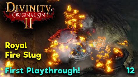 divinity original sin royal fire slug.